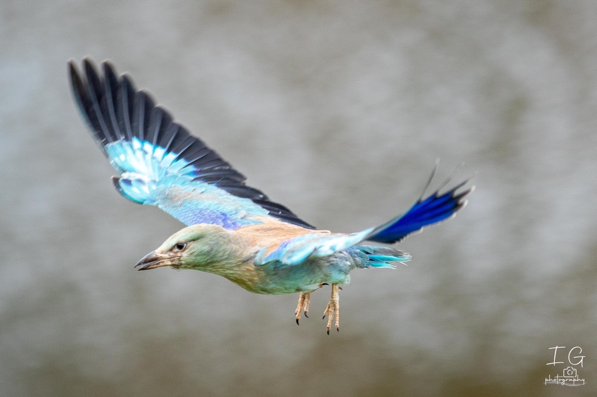 AK6I1734 31 oktober 2021 1533 20